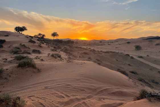Solnedgång över Al Wadi-öknen