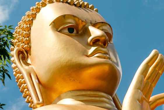 The Golden Buddha Statue