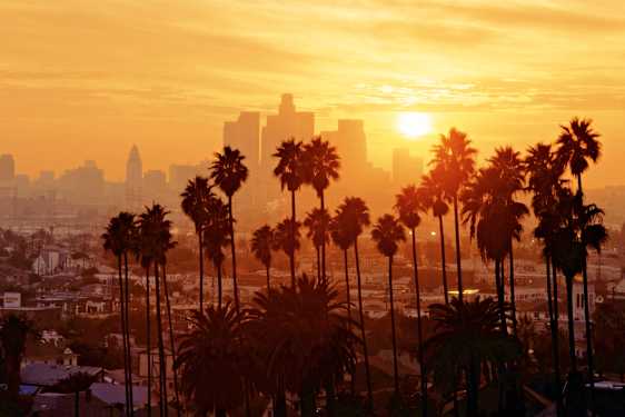 Silhuett av los angeles i solnedgång