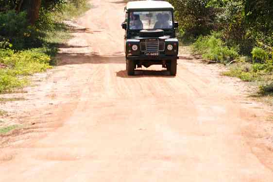 Safari jeep