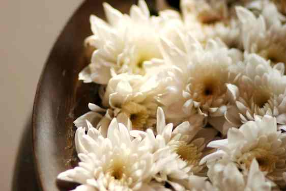 Blommor