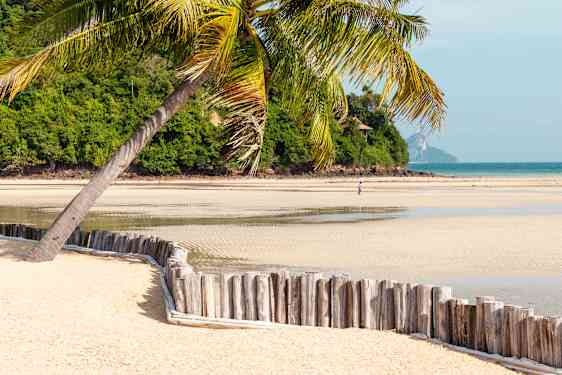 Strand med vit sand och palm