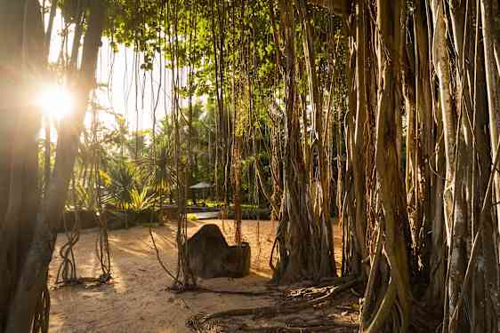 Vacker natur på Mauritius