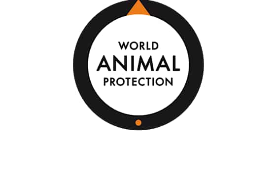 World Animal Protection logotyp