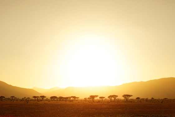 Solnedgång i Kenya