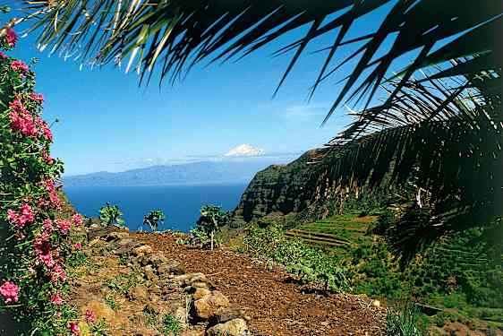 Väg mot havet på La Gomera