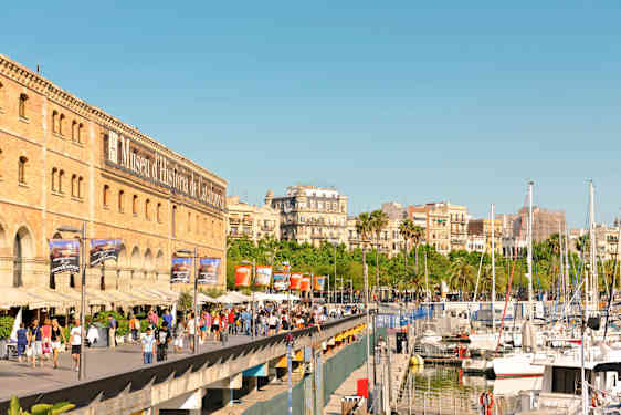 Gata i Barcelona