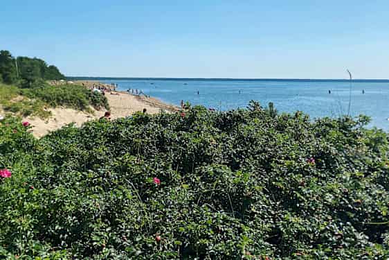 Strand