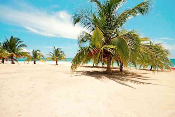 Dominikanska republiken