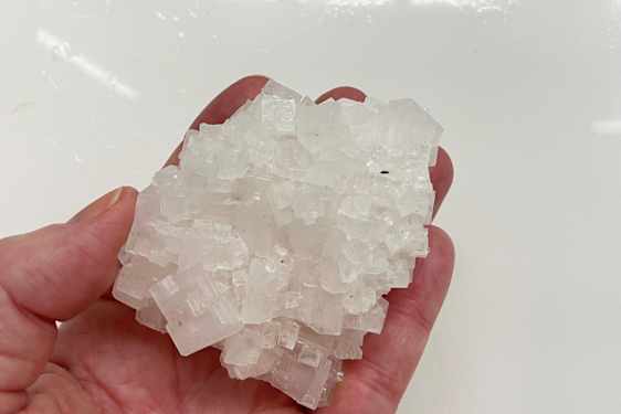 En liten bit salt fick följa med hem. Foto: Privat