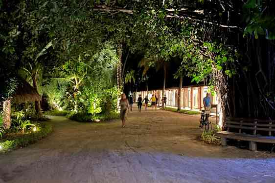 Sandväg, växtlighet och upplysta butiker på kvällen