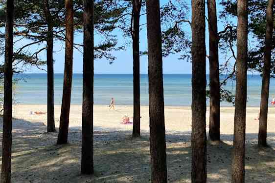 Strand