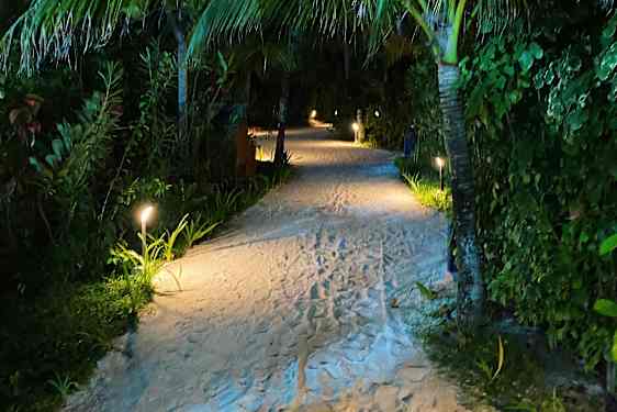 Upplyst sandstig bekantad av växtlighet på kväll