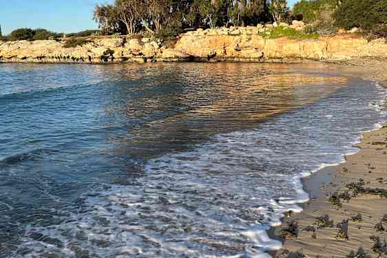 Strand på Cypern