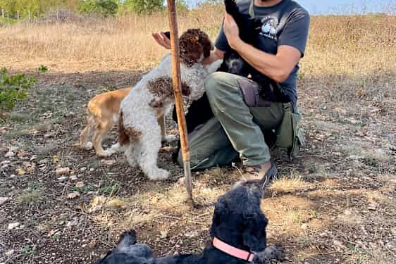 Man med hatt och sin hund