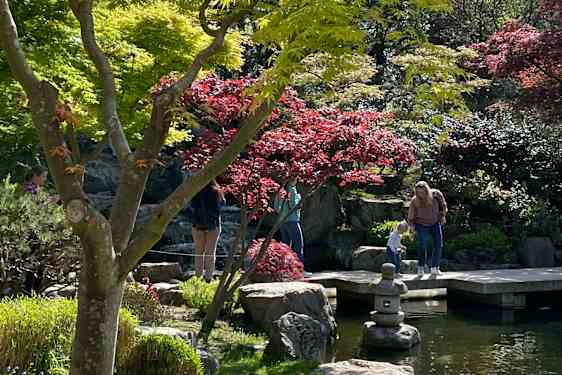 Park i Kensington - London