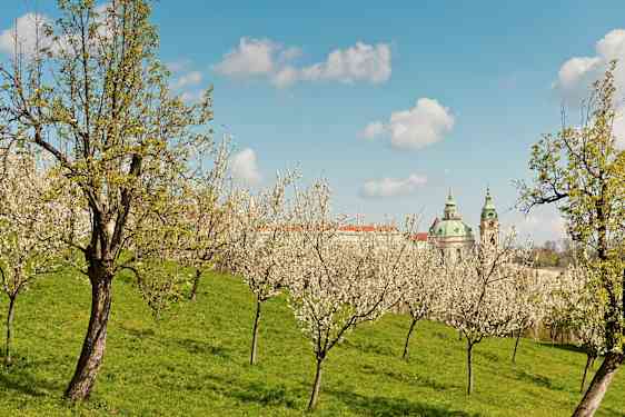 Prag