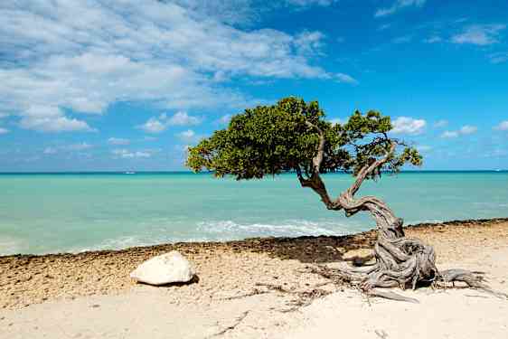 Aruba
