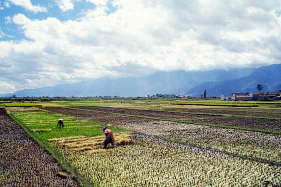 Yunnan Dali Country