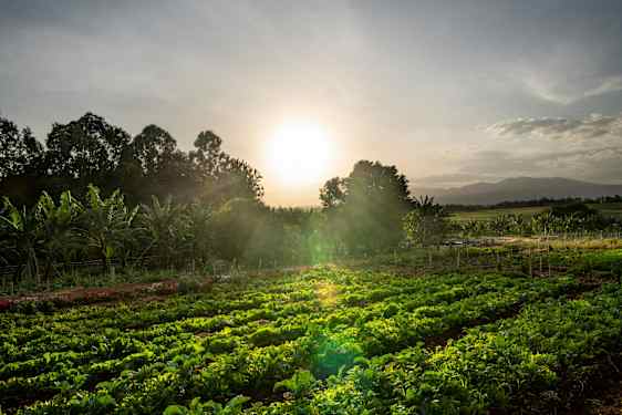 Ngorongoro Farmhouse