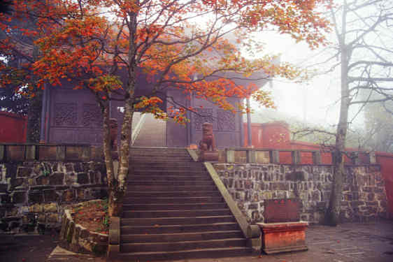 Sichuan Emeishan