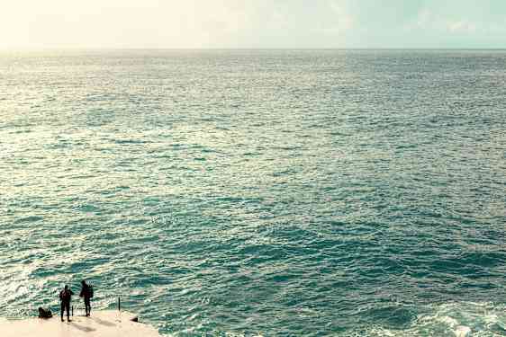 Upplevelserna väntar både på höjderna och under ytan på Madeira. Valar och delfiner är en vanlig syn längs kusten.