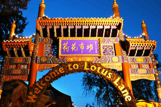 Lotus Lane
