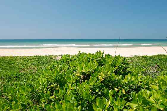 Strand