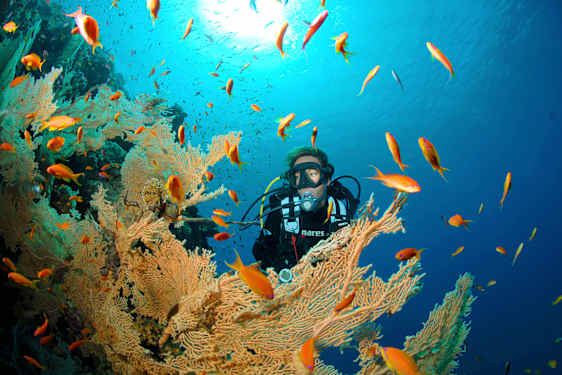 Snorkling i Hurghada