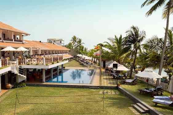 Coral Sands