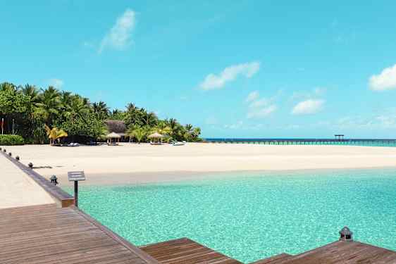 En vit paradisstrand med palmer och turkosblått hav.