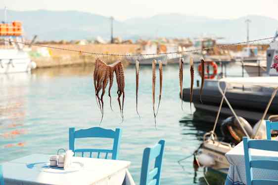 Bläckfiskar hänger vid restaurang vid havet