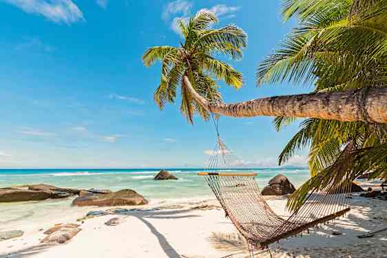 La digue