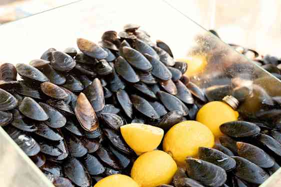Musslor och citroner