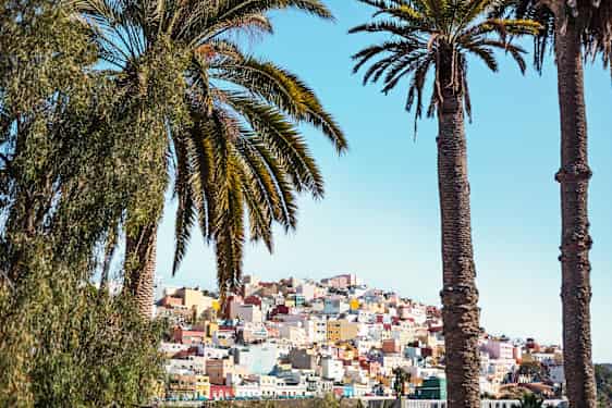 Hus och palmer på Gran Canaria
