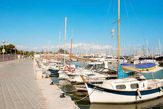 Hamn Palma