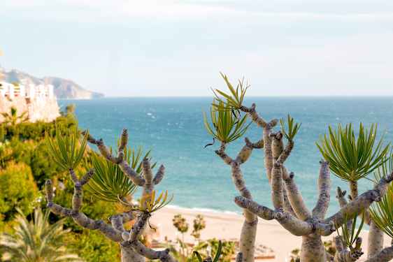 Utsikt över en strand på Costa del Sol
