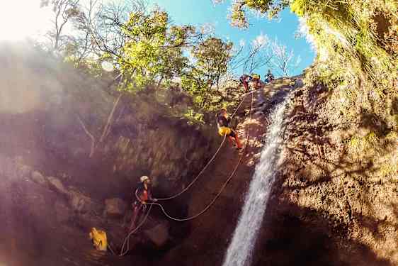 Klättrare på Madeira