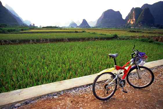 Hyra cykel i Yangshou är det bästa sättet att se sig omkring