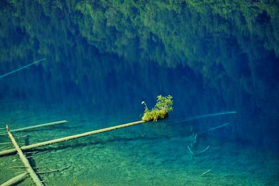 Kristallklart vatten i Jiuzhaigou naturreservat