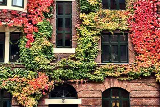 Njalsgade