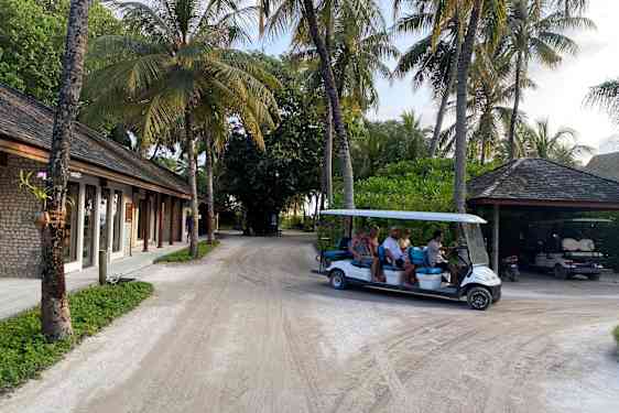 Hotellgäster i buggy bland palmer