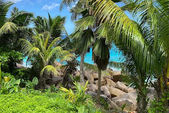 Otrolig natur på La Digue