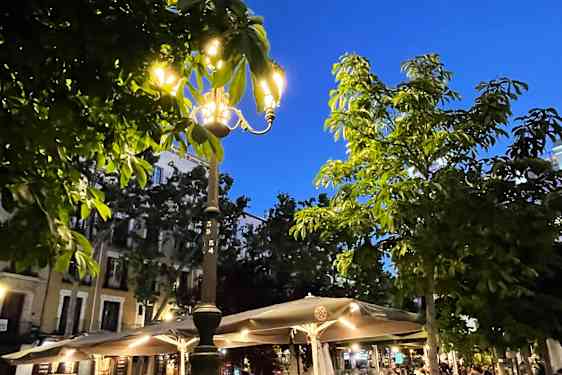 En skön kväll på Plaza Santa Ana