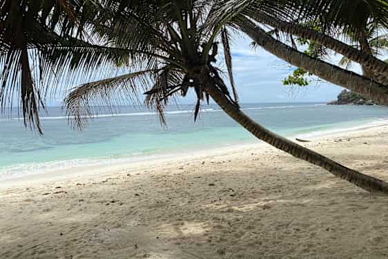Anse Parnell