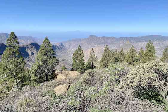 Utsikt med Teide på Teneriffa i fjärran