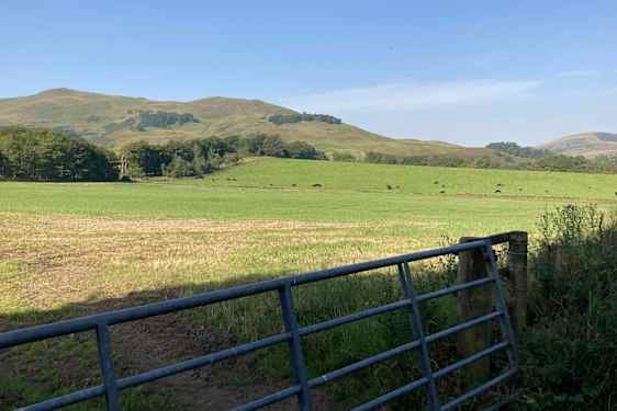 Genom kohagar mot öppna landskap