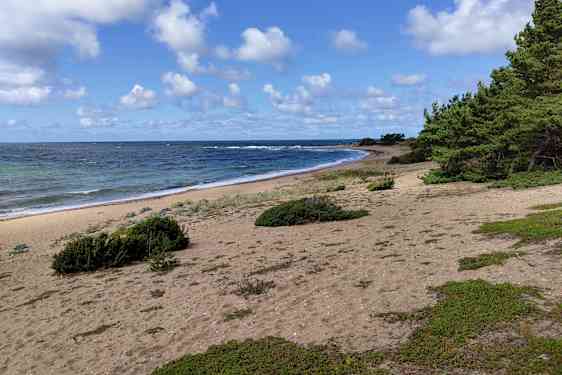 Strand i Estland