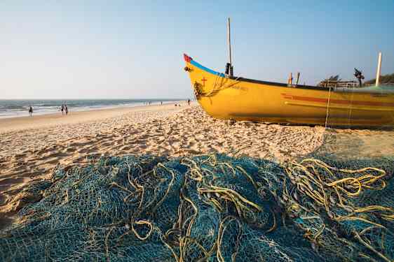 Norra Goa