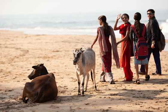 Norra Goa